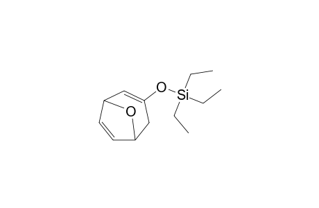 3-(Triethylsiloxy)-8-oxabicyclo[3.2.1]octa-2,6-diene