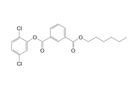 Isophthalic acid, 2,5-dichlorophenyl hexyl ester