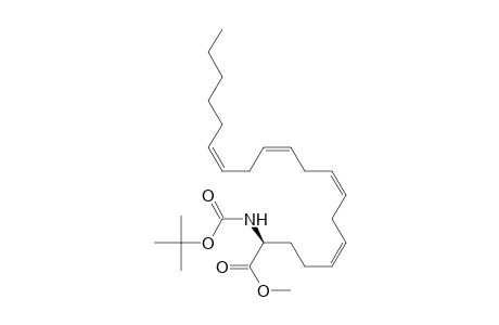 Methyl (5Z,8Z,11Z,14Z,2S)-2-tert-butoxycarbonylaminoeicos-5,8,11,14-tetraenoate