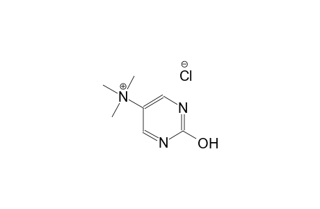 5-pyrimidinaminium, 2-hydroxy-N,N,N-trimethyl-, chloride