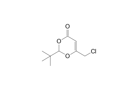 2-(t-Butyl)-6-(chloromethyl)-1,3-dioxin-4-one