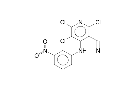 4-(META-NITROPHENYLAMINO)TRICHLORO-3-CYANOPYRIDINE