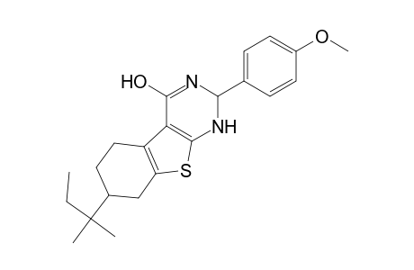 2-(4-Methoxyphenyl)-7-(2-methylbutan-2-yl)-2,3,5,6,7,8-hexahydro-1H-[1]benzothiolo[2,3-d]pyrimidin-4-one