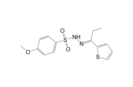 4-methoxy-N'-[(E)-1-(2-thienyl)propylidene]benzenesulfonohydrazide