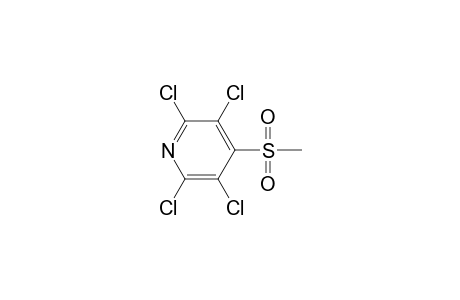 Pyridine, 2,3,5,6-tetrachloro-4-(methylsulfonyl)-