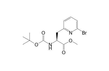 (2S)-[N-(t-Butoxycarbonyl)amino]-3-(6'-bromopyrid-2'-yl)propionic acid - Methyl ester