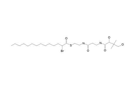 (R)-Pantetheine-1-[(R,S)-2-bromo-myristate]