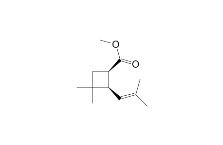 Cyclobutanecarboxylic acid, 3,3-dimethyl-2-(2-methyl-1-propenyl)-, methyl ester, cis-(.+-.)-