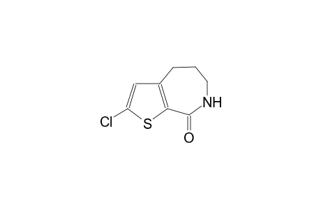5-chloro-3-(3-aminopropyl)thiophene-2-carboxylic acid lactam