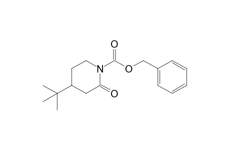 (phenylmethyl) 4-tert-butyl-2-oxidanylidene-piperidine-1-carboxylate