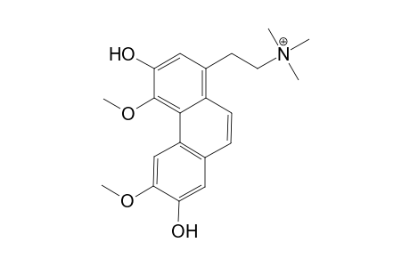 N-[2,6-dihydroxy-3,5-dimethoxyphenanthren-8-ylethyl]-N,N,N-(trimethyl)amine salt