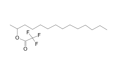 2-Trifluoroacetoxytetradecane