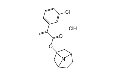 2-(m-CHLOROPHENYL)ACRYLIC ACID, 3-TROPANYL ESTER, HYDROCHLORIDE