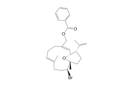 15-oxabicyclo[9.3.1]pentadeca-2,6-diene-3-methanol, 10-bromo-7,11-dimethyl-14-(1-methylethenyl)-, benzoate, (1R*,3E,6E,10S*,11R*,14S*)-(+-)-