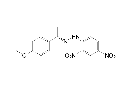 4'-methoxyacetophenone, (2,4-dinitrophenyl)hydrazone