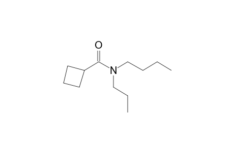 Cyclobutanecarboxamide, N-propyl-N-butyl-