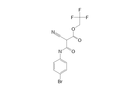 3-[(4-bromophenyl)amino]-2-cyano-3-keto-propionic acid 2,2,2-trifluoroethyl ester