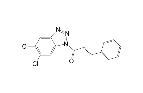 1-Cinnamoyl-5,6-dichlorobenzotriazol