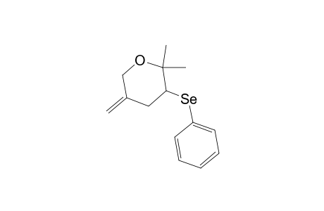 2,2-dimethyl-5-methylene-3-(phenylselanyl)tetrahydro-2H-pyran