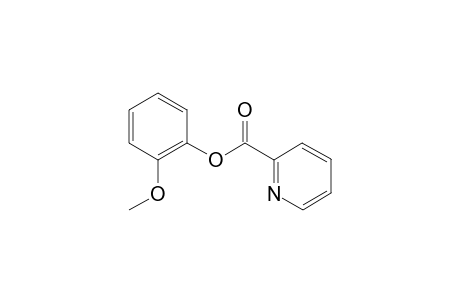 2-Methoxyphenyl picolinate
