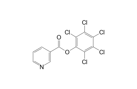 nicotinic acid, pentachlorophenyl ester