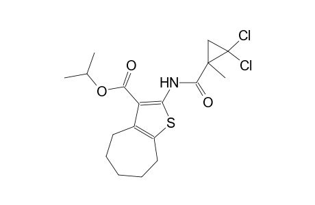 isopropyl 2-{[(2,2-dichloro-1-methylcyclopropyl)carbonyl]amino}-5,6,7,8-tetrahydro-4H-cyclohepta[b]thiophene-3-carboxylate