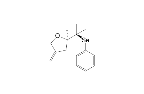 2-Methyl-4-methylene-2-(2-(phenylselanyl)propan-2-yl)tetrahydrofuran