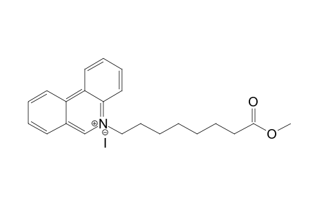 N-[7-(Methoxycarbonyl)heptyl]phenanthridinium iodide
