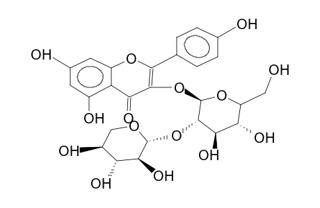 KAEMPFEROL 3-O-(2-O-beta-D-XYLOSYL)-beta-D-GLUCOSIDE
