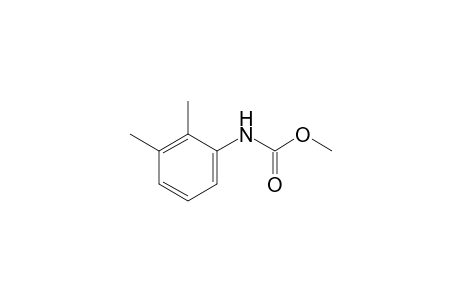 2,3-dimethylcarbanilic acid, methyl ester