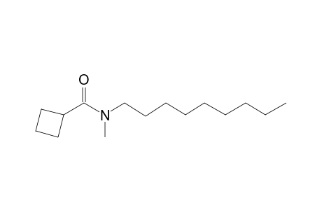 Cyclobutylcarboxamide, N-methyl-N-nonyl-