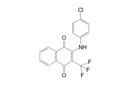 2-(4-Chloroanilino)-3-(trifluoromethyl)-1,4-naphthoquinone