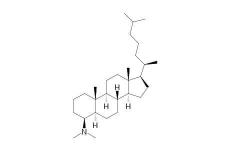 4.beta.-dimethylamino-5.alpha.-cholestane