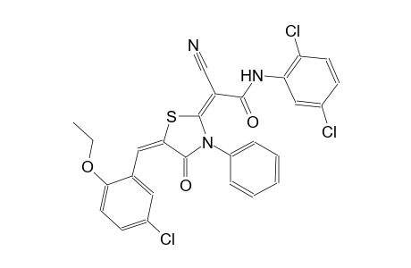 (2E)-2-[(5E)-5-(5-chloro-2-ethoxybenzylidene)-4-oxo-3-phenyl-1,3-thiazolidin-2-ylidene]-2-cyano-N-(2,5-dichlorophenyl)ethanamide