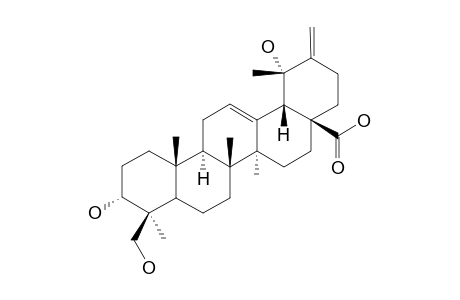 COUSSARIC-ACID;(3R,4S,5R,8R,9R,10R,14S,17R,18S,19S)-3,19,24-TRIHYDROXY-URSA-12,20(30)-DIEN-28-OIC-ACID