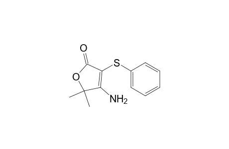 2(5H)-Furanone, 4-amino-5,5-dimethyl-3-(phenylthio)-