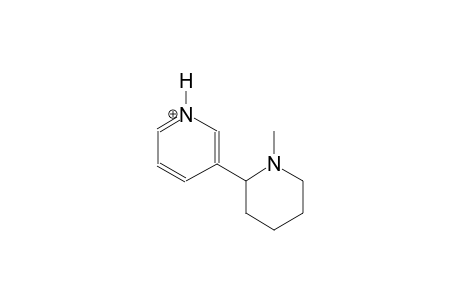3-(1-methyl-2-piperidinyl)pyridinium