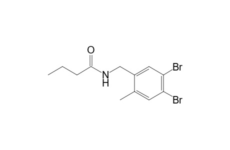 N-(4,5-Dibromo-2-methylbenzyl)butanamide