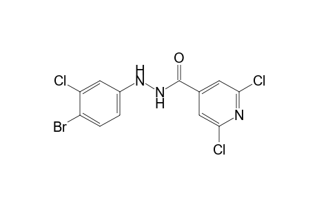 2,6-dichloroisonicotinic acid, 2-(4-bromo-3-chlorophenyl)hydrazide