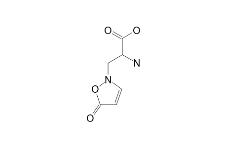 B-Isoxazolin-5-on-2-yl-alanine