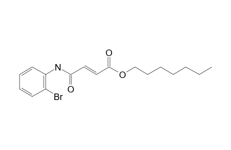 Fumaric monoamide, N-(2-bromophenyl)-, heptyl ester