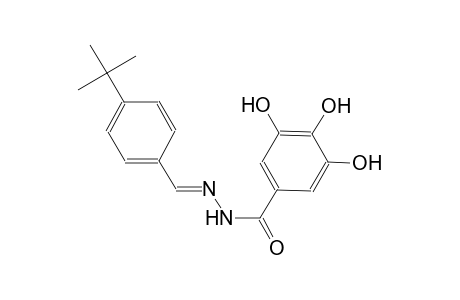 N'-[(E)-(4-tert-butylphenyl)methylidene]-3,4,5-trihydroxybenzohydrazide