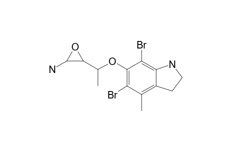 CERATININE-B;3-[1-(5,7-DIBROMO-4-METHYL-INDOLIN-6-YL-OXY)-ETHYL]-OXIRAN-2-AMINE