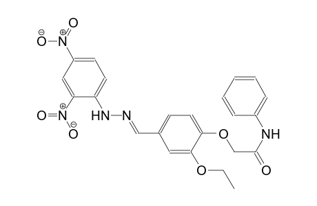 2-(4-{(E)-[(2,4-dinitrophenyl)hydrazono]methyl}-2-ethoxyphenoxy)-N-phenylacetamide