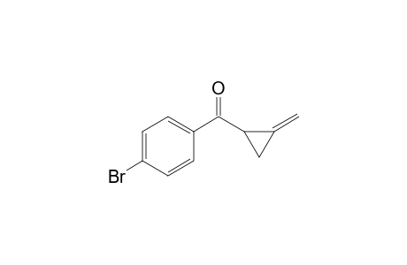 Methylenecyclopropyl p-Bromophenyl Ketone