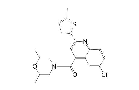 6-chloro-4-[(2,6-dimethyl-4-morpholinyl)carbonyl]-2-(5-methyl-2-thienyl)quinoline