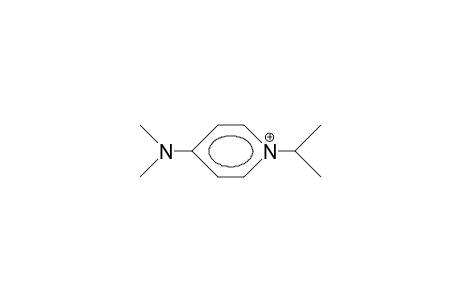 4-Dimethylamino-1-isopropyl-pyridinium cation