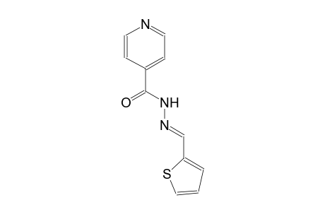 N'-[(E)-2-thienylmethylidene]isonicotinohydrazide