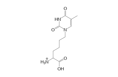 2-Ammonio-6-(thymin-1-yl)hexanoate
