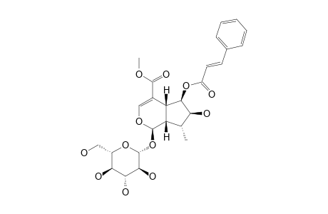 CAUDATOSIDE-A;6-CINNAMOYL-5-DEOXYPULCHELLOSIDE-I